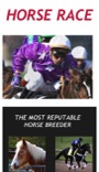 EverWeb Horse Race theme